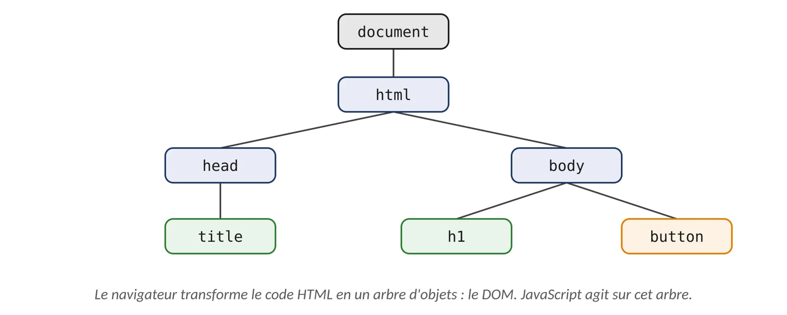 Arbre : document contient html, qui contient head (avec title) et body (avec h1 et button).